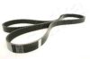 ASHIKA 112-6PK2105 V-Ribbed Belts